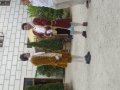 IMGP0947.JPG